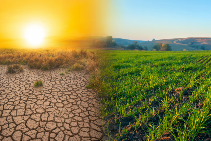 El COM Bizkaia concede su XIII premio al compromiso con la salud a la Alianza Médica Contra el Cambio ClimáticoEl COM Bizkaia concede su XIII premio al compromiso con la salud